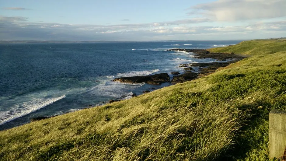 How to Help Protect the Ocean From Anywhere